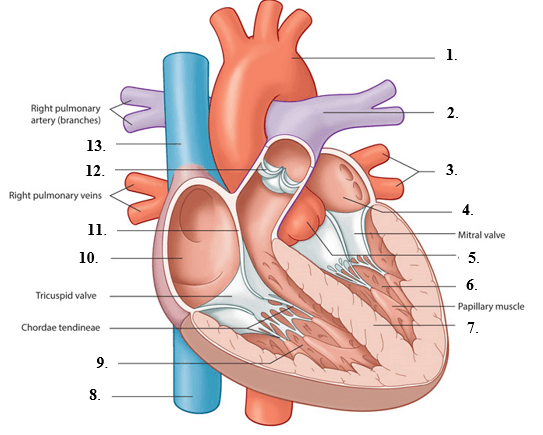 Question Image