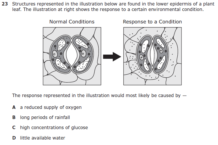 Question Image