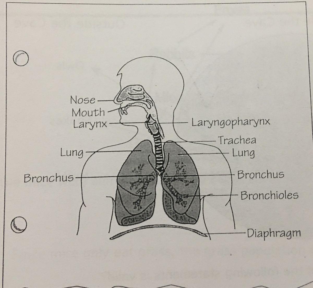 Question Image