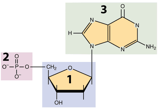 Question Image