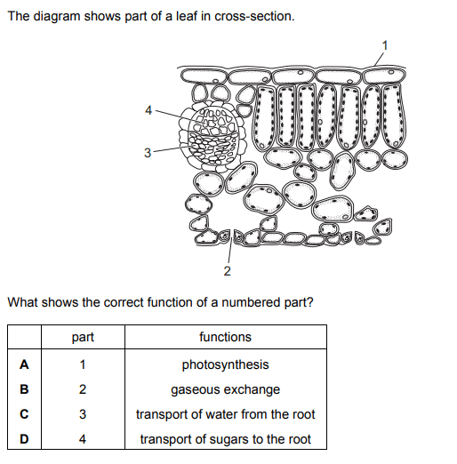 Question Image