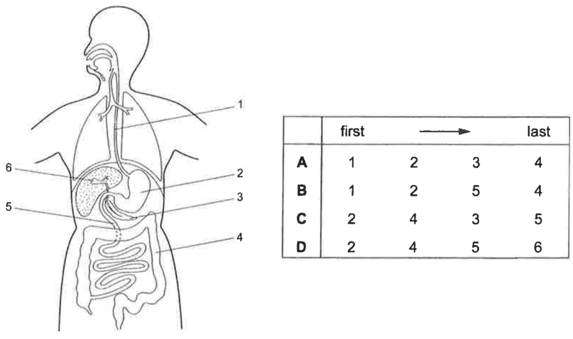 Question Image