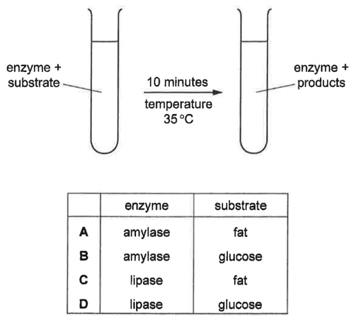 Question Image