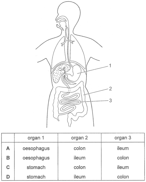 Question Image