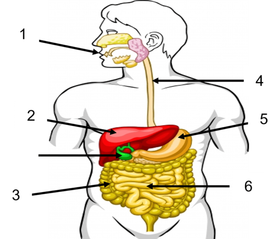 Question Image