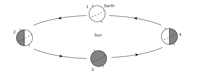 Question Image