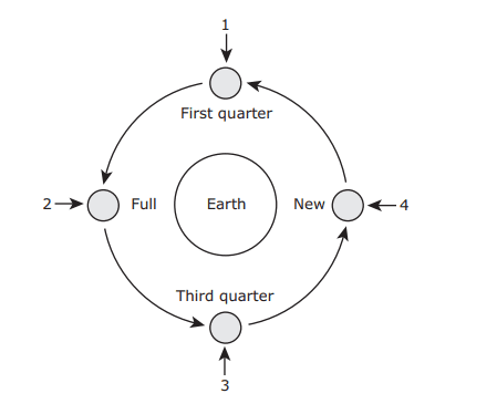 Question Image