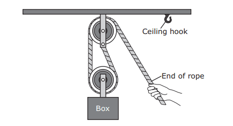 Question Image