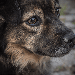 placeholder image to represent content