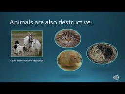 placeholder image to represent content