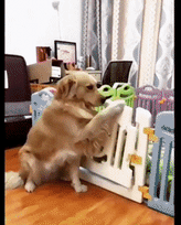 placeholder image to represent content