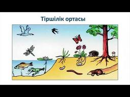 placeholder image to represent content