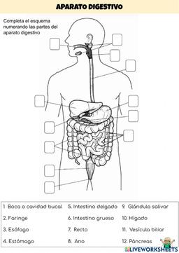 placeholder image to represent content