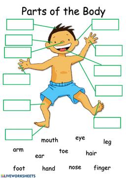 placeholder image to represent content