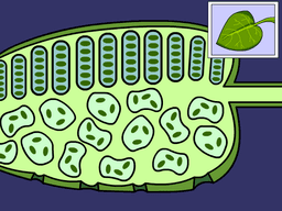 placeholder image to represent content