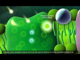 placeholder image to represent content