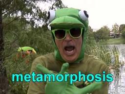 placeholder image to represent content