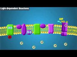 placeholder image to represent content