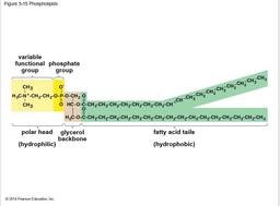 placeholder image to represent content