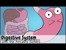 placeholder image to represent content