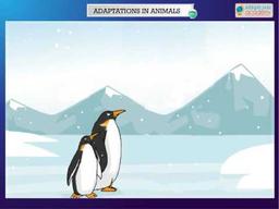 placeholder image to represent content