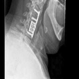 placeholder image to represent content