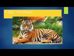 placeholder image to represent content