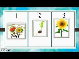 placeholder image to represent content