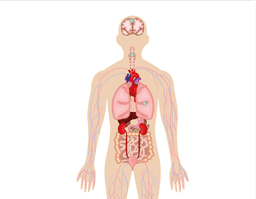 placeholder image to represent content