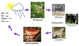 placeholder image to represent content