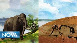 placeholder image to represent content