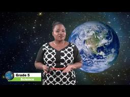 placeholder image to represent content