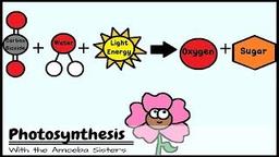 placeholder image to represent content