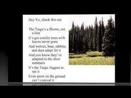 placeholder image to represent content