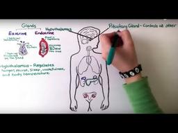 placeholder image to represent content