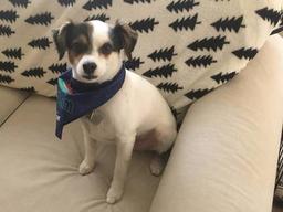 placeholder image to represent content