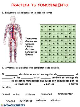 placeholder image to represent content