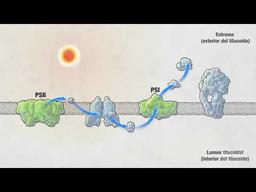 placeholder image to represent content