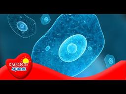 placeholder image to represent content