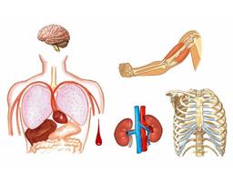 placeholder image to represent content