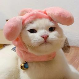 placeholder image to represent content