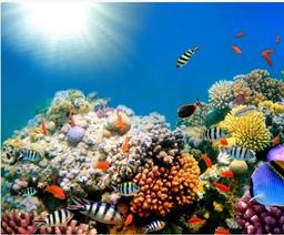 placeholder image to represent content