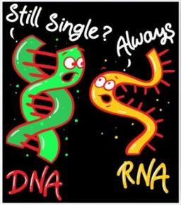 placeholder image to represent content