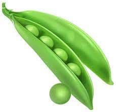 Answer Image