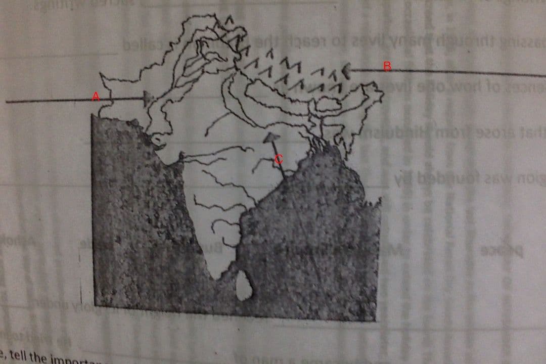 Question Image