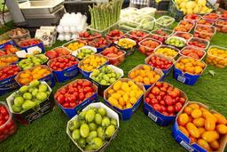 placeholder image to represent content