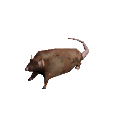 placeholder image to represent content
