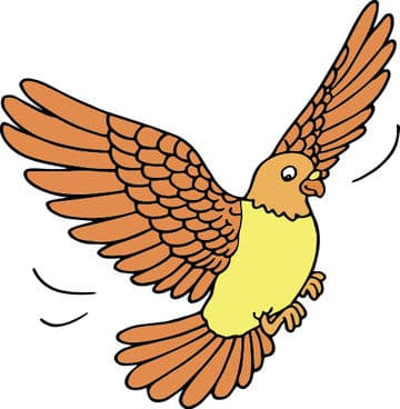 Answer Image