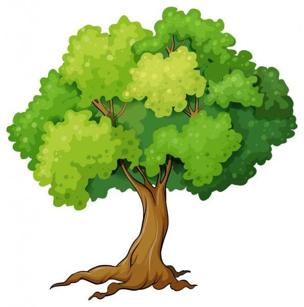 Answer Image