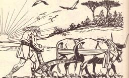 placeholder image to represent content